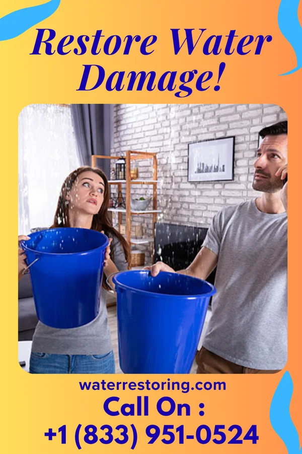 water restoration Eco Flood Cleanup Experts Wellington
