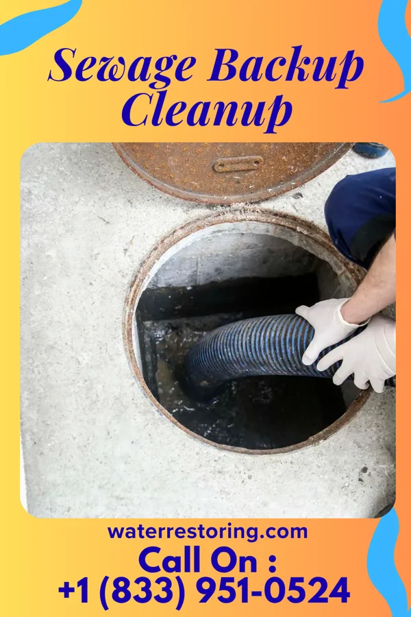 Sewage Backup Cleanup in Wellington, KS